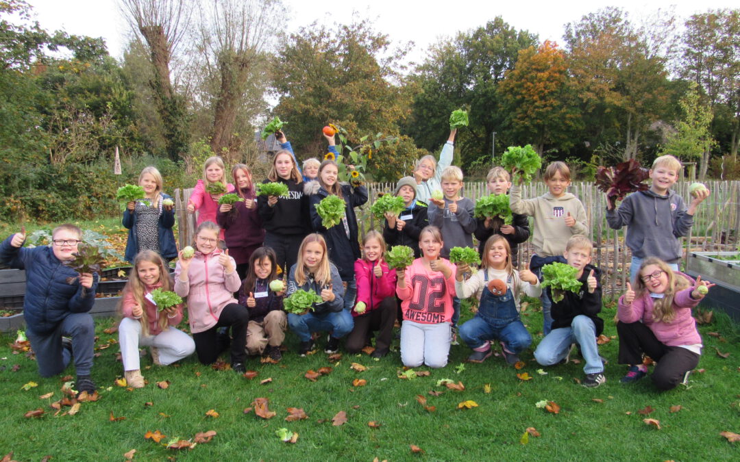 GemüseAckerdemie: Ernte und Verarbeitung