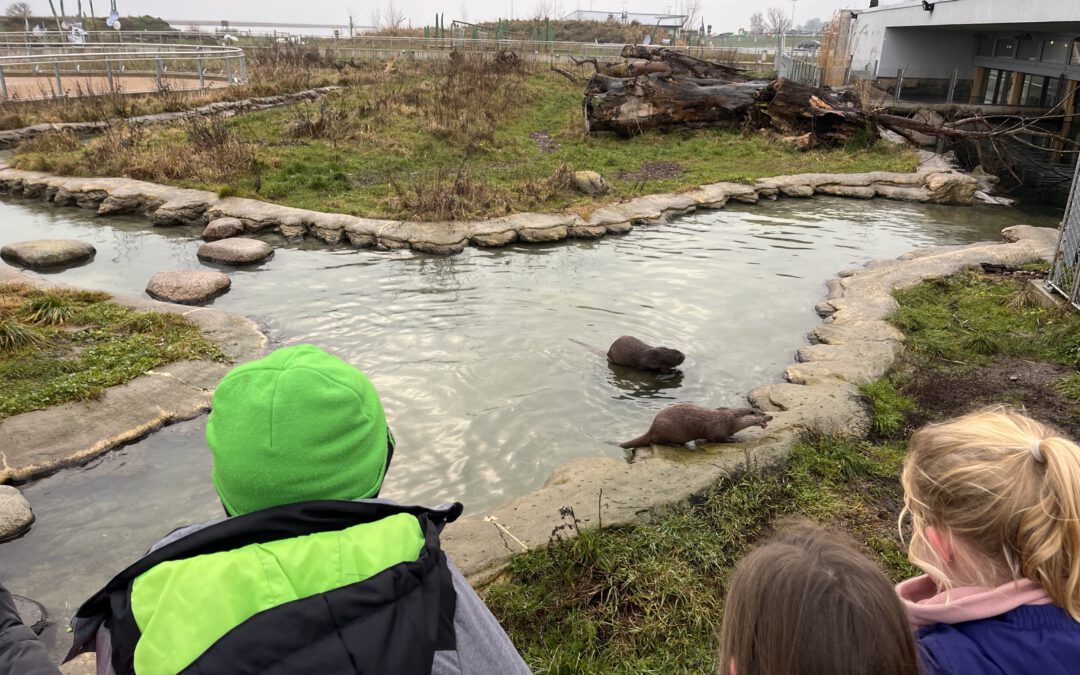 Ausflug der Klasse 3 ins Multimar Wattforum